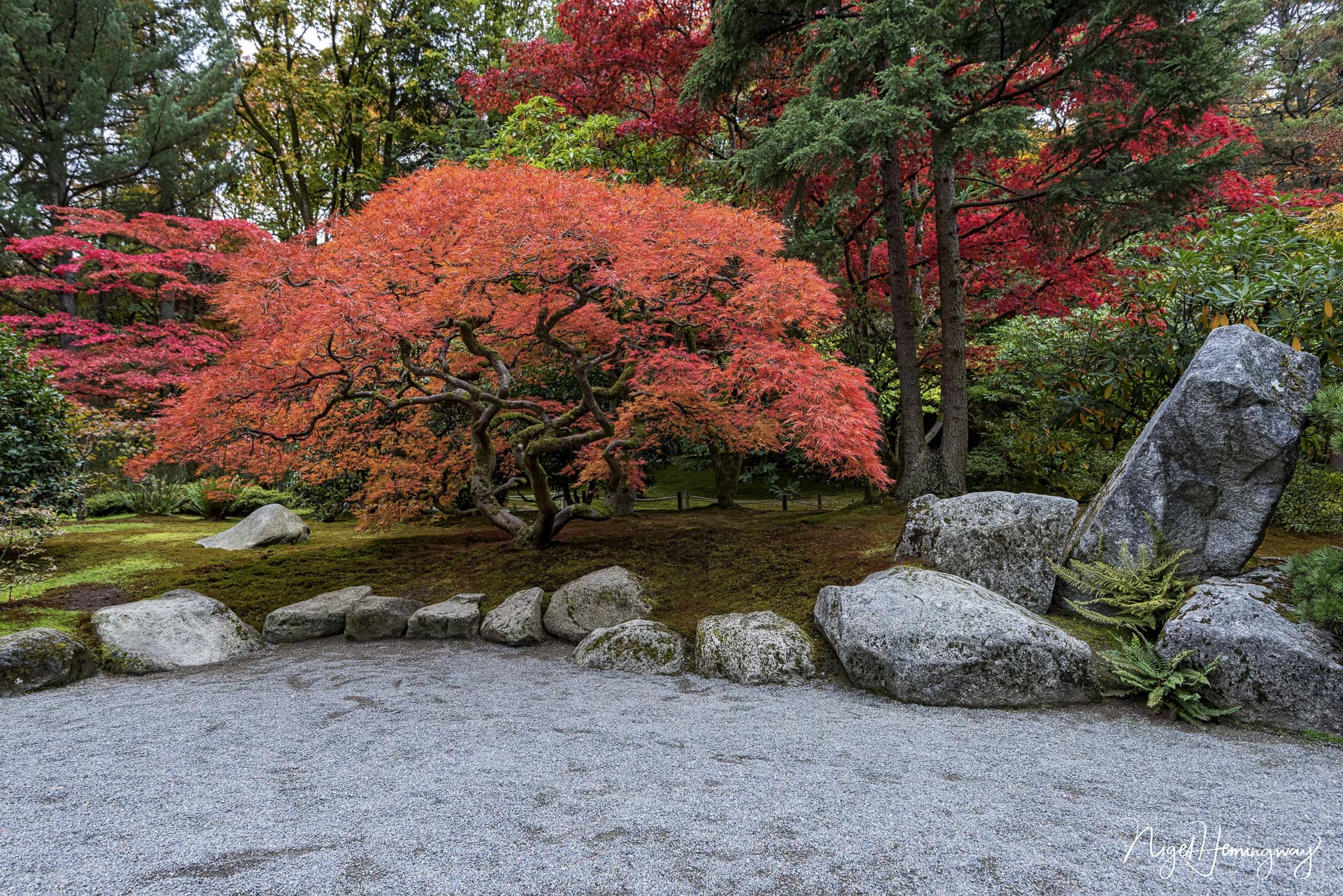 Fall Colour©Nigel Hemingway