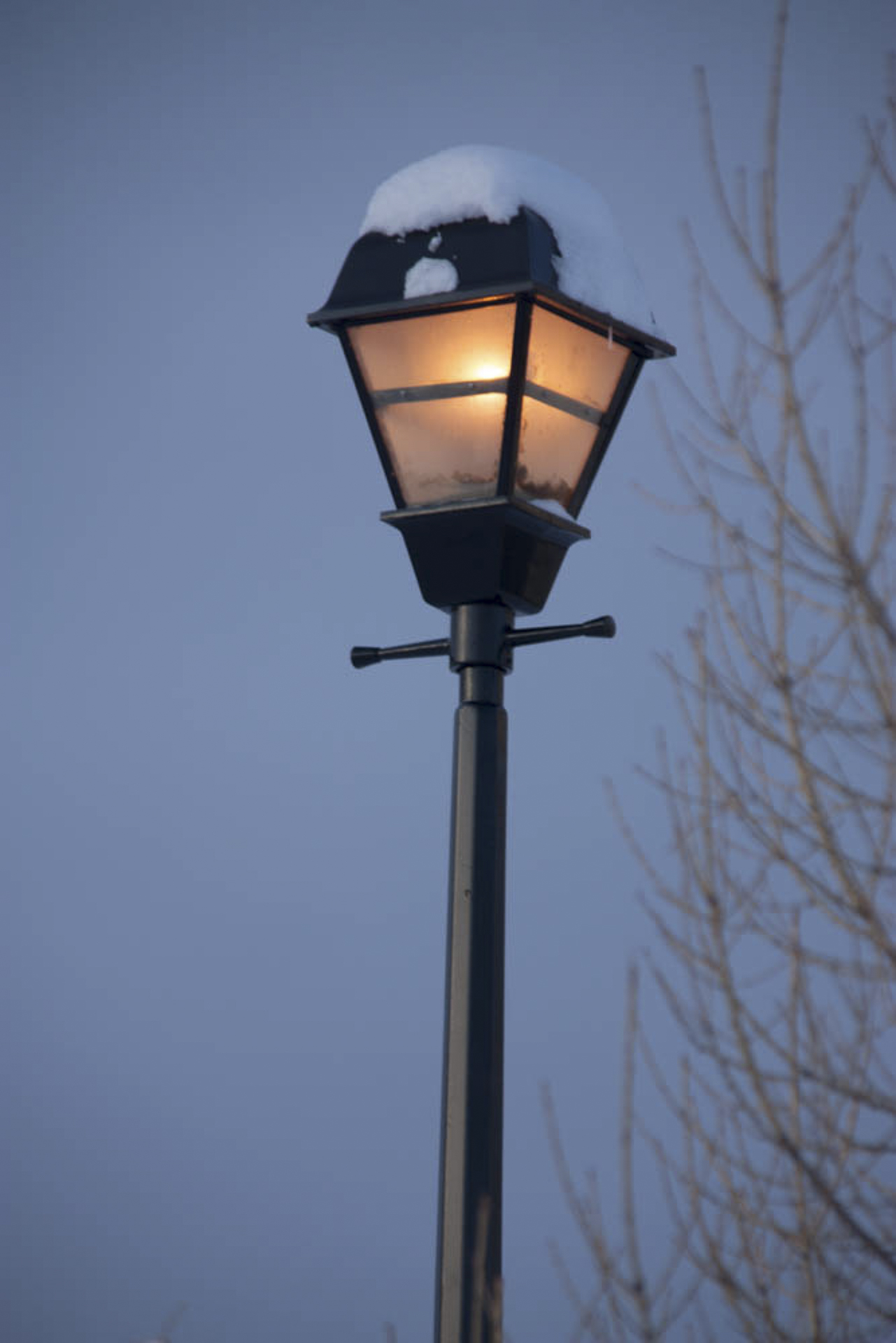lamp post-2 - ©AnnMarie Brown