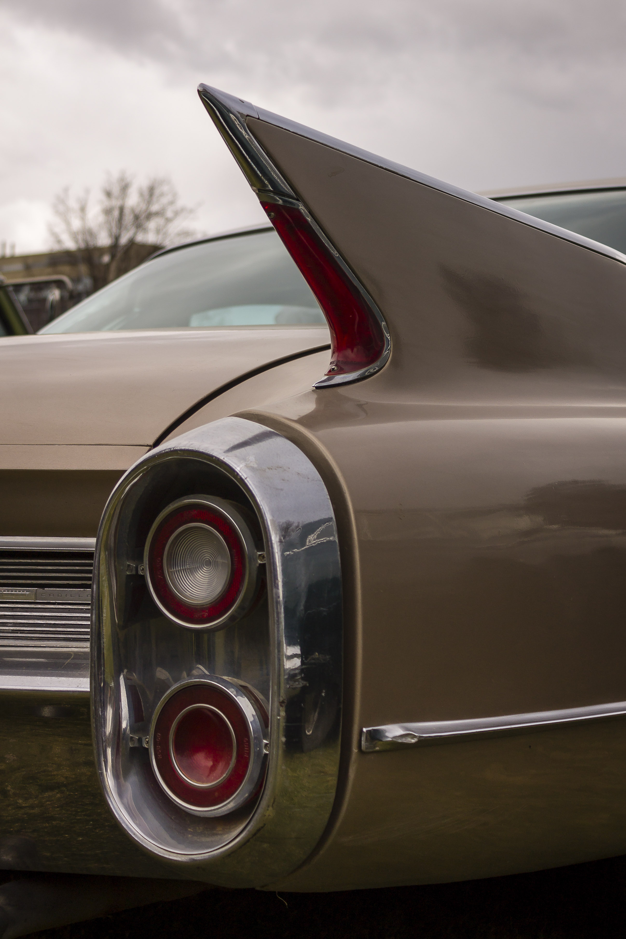 Vintage Fin - ©Tamara Isaac