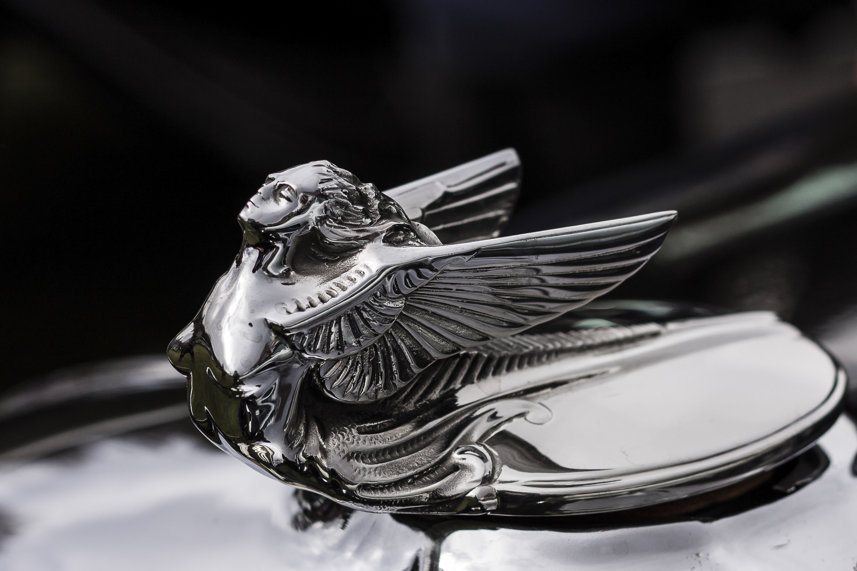 Vintage Hood Ornament - ©Tamara Isaac