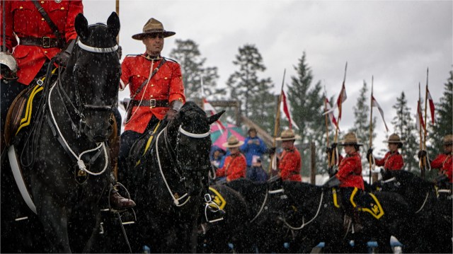 Musical Ride - Daryl Bell
