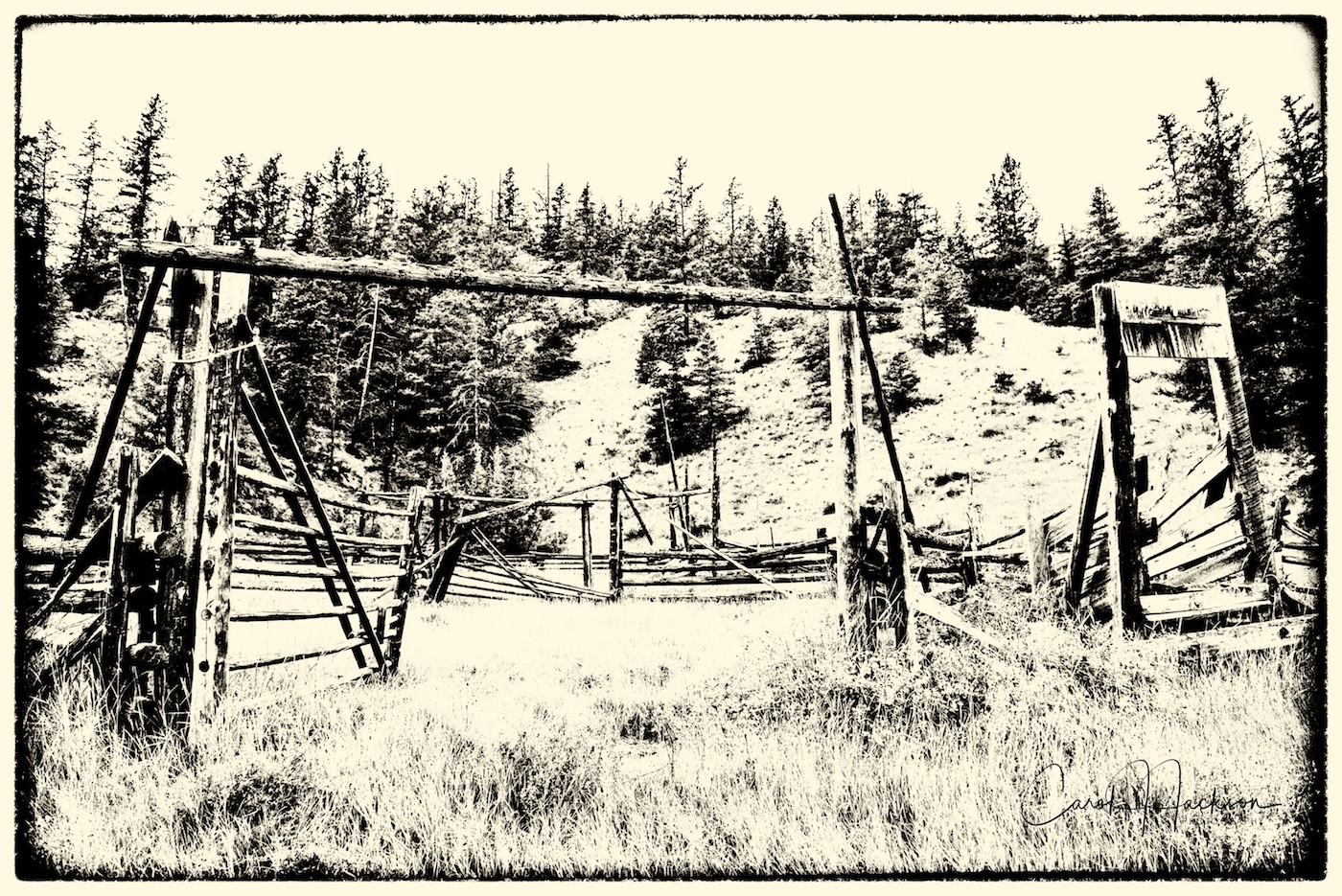 Old Cattle Pen_8799 copy CJJ