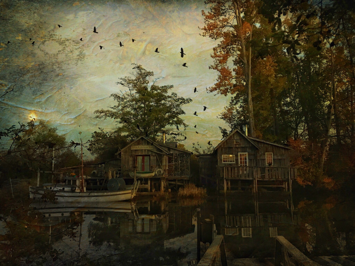 Finn Slough, Altered Reality - Carol Jackson