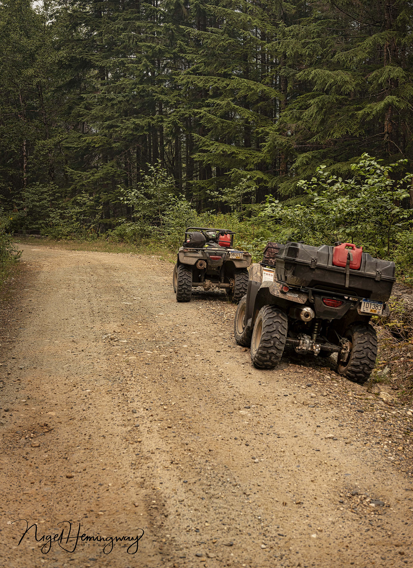 On the Road again© Nigel Hemingway