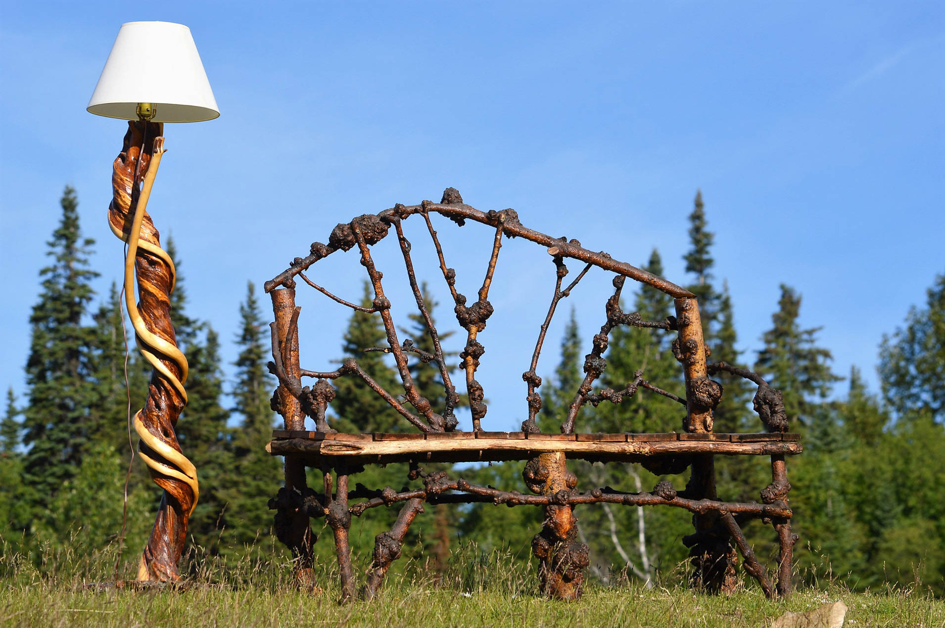 Willow 2 - Maureen Nelson