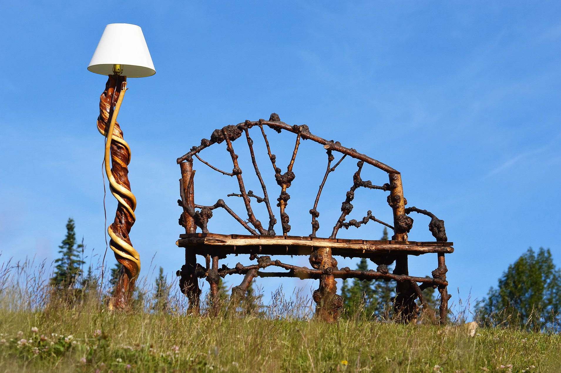 Willow - Maureen Nelson