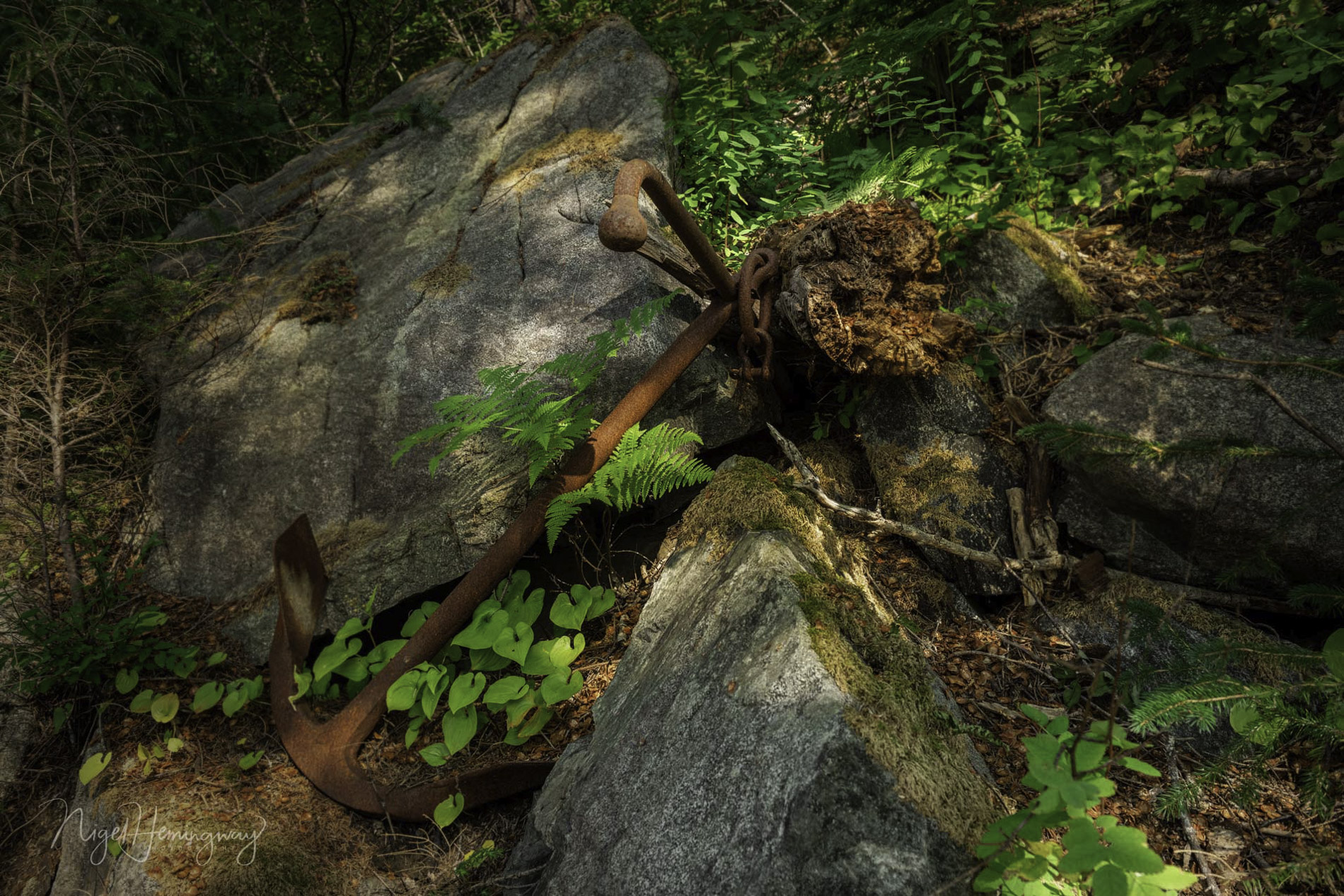 Anchor -  Nigel Hemingway