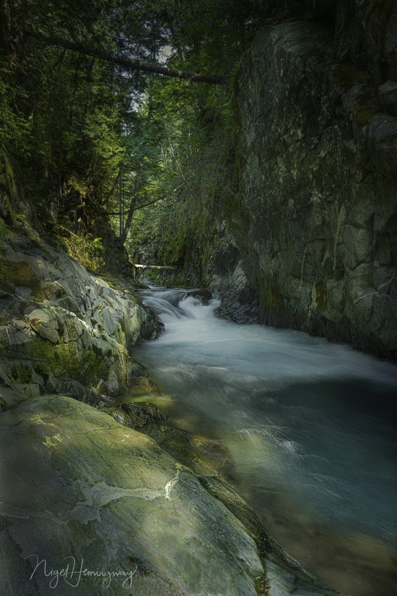 Creek-  Nigel Hemingway