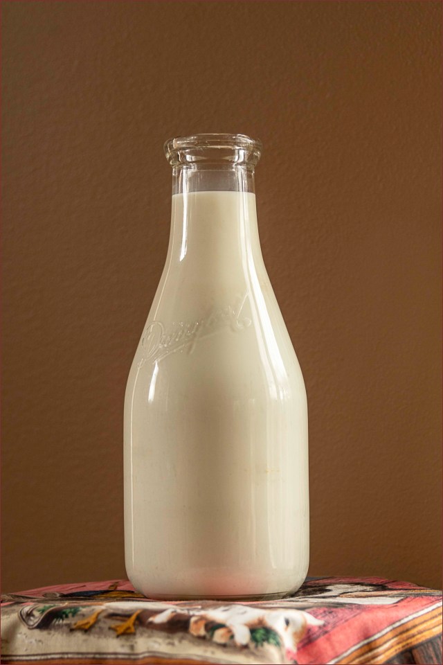 33 Old Milk Bottle - Gloria Melnychuk