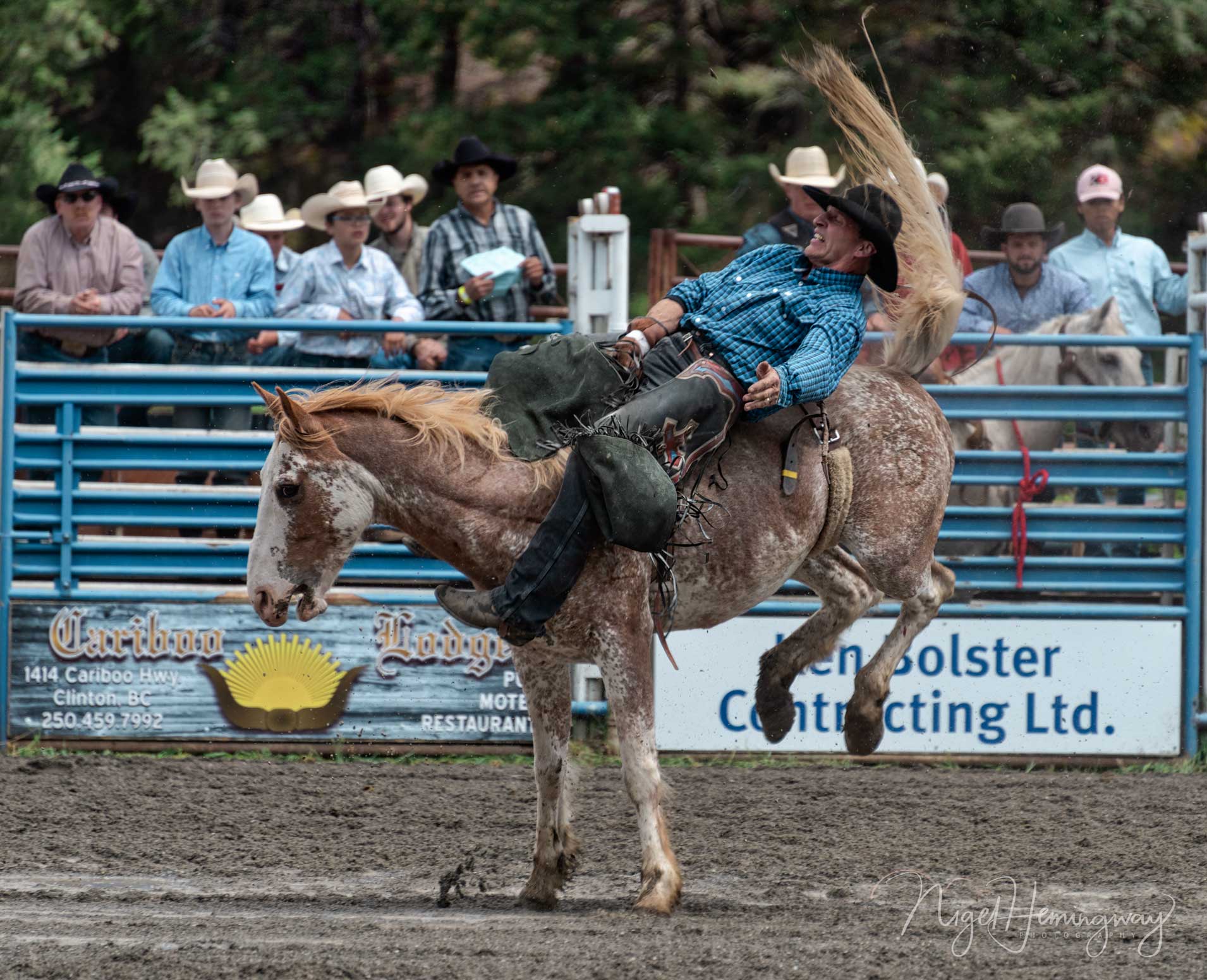 Near-the-end - Nigel Hemingway