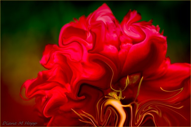 Scvenger Hunt #27 - Complementary Colours - Liquified Peony