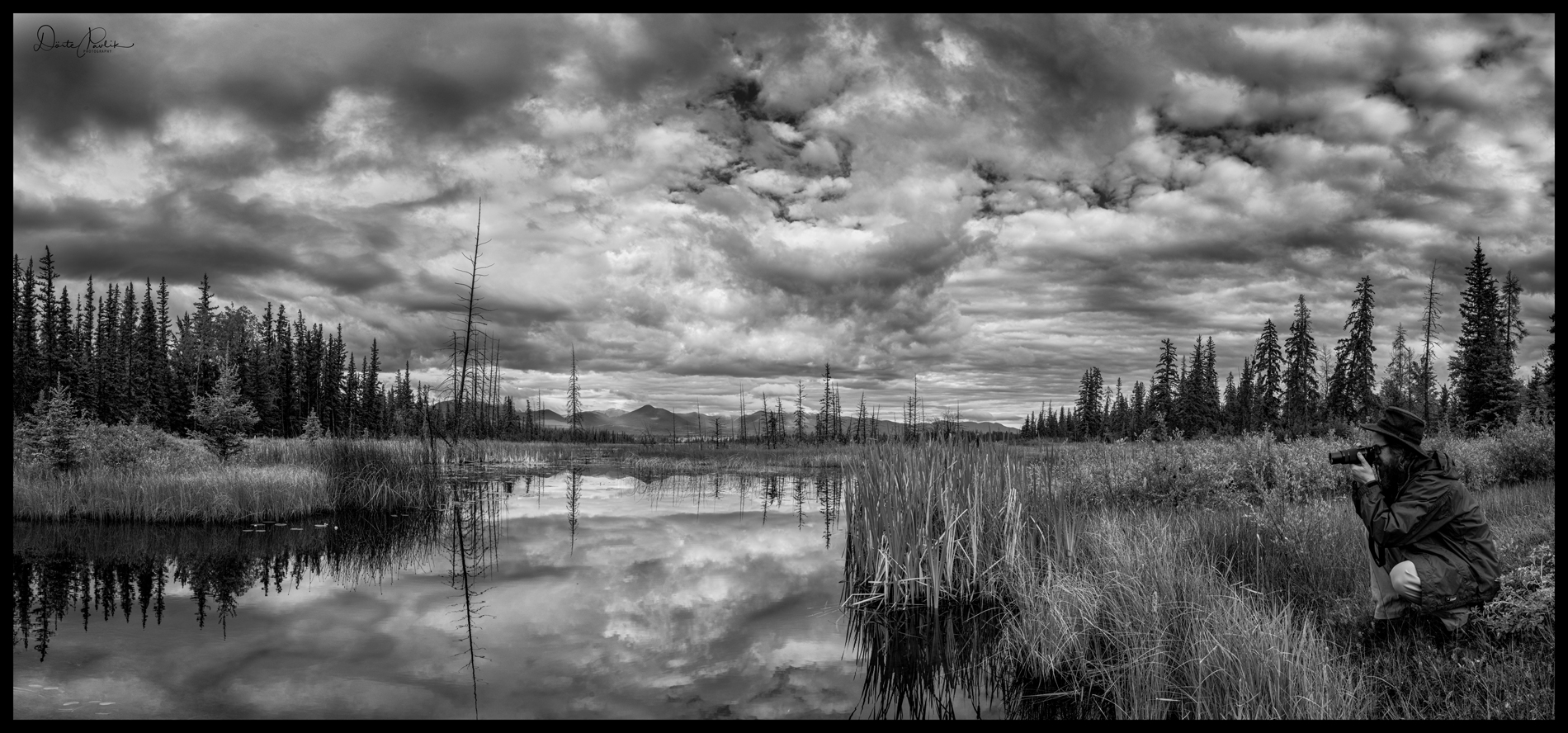 A Photographer's Delight - Near Meadow Lake - Doerte Pavlik