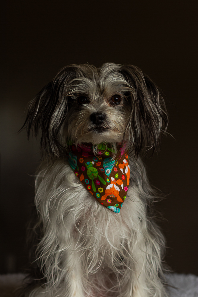 Bernie - Tamara Isaac