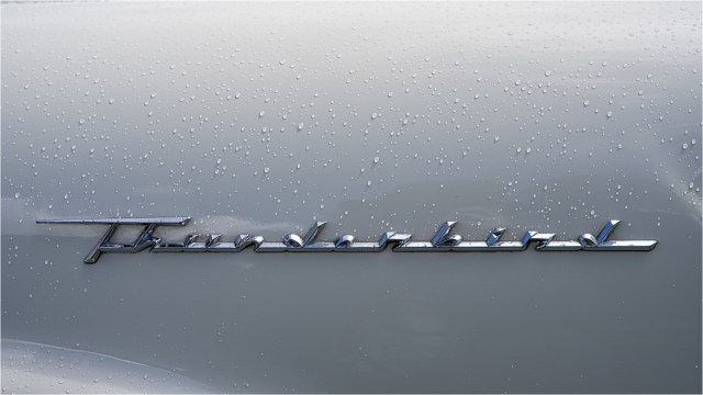 Thunderbird - Daryl Bell