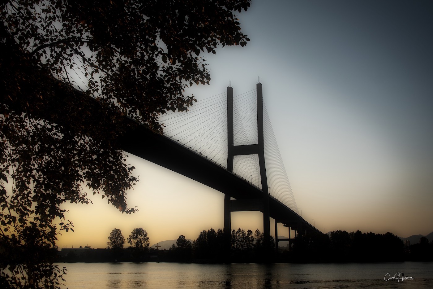 Alex Fraser Bridge - Carol Jackson