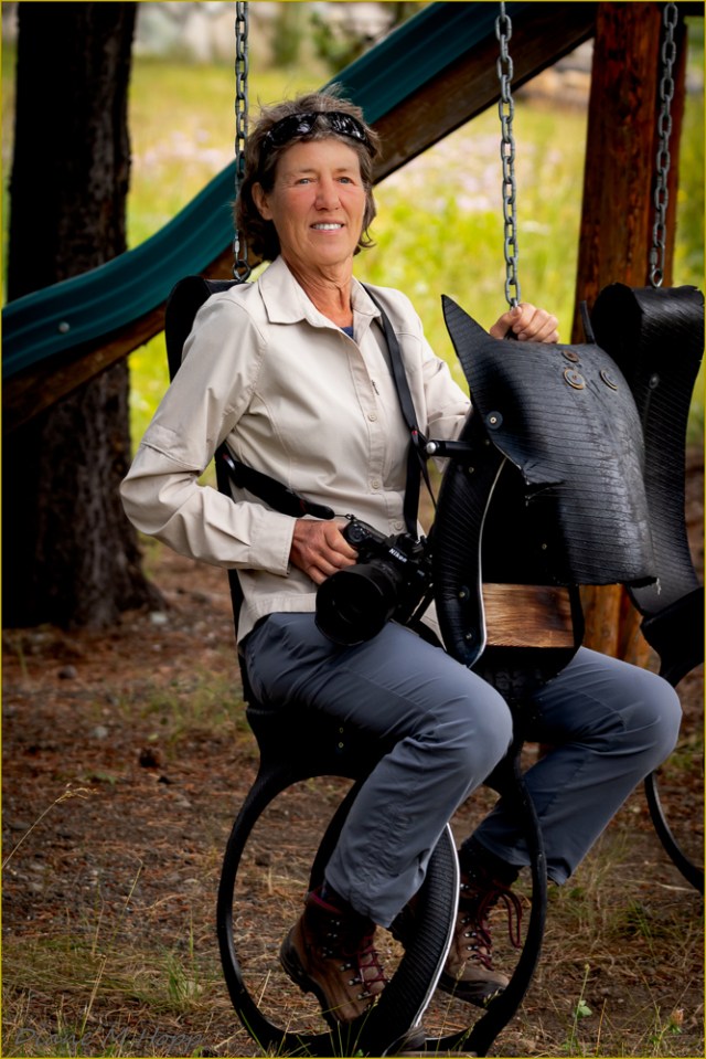 Swinging Rider - DMHopp