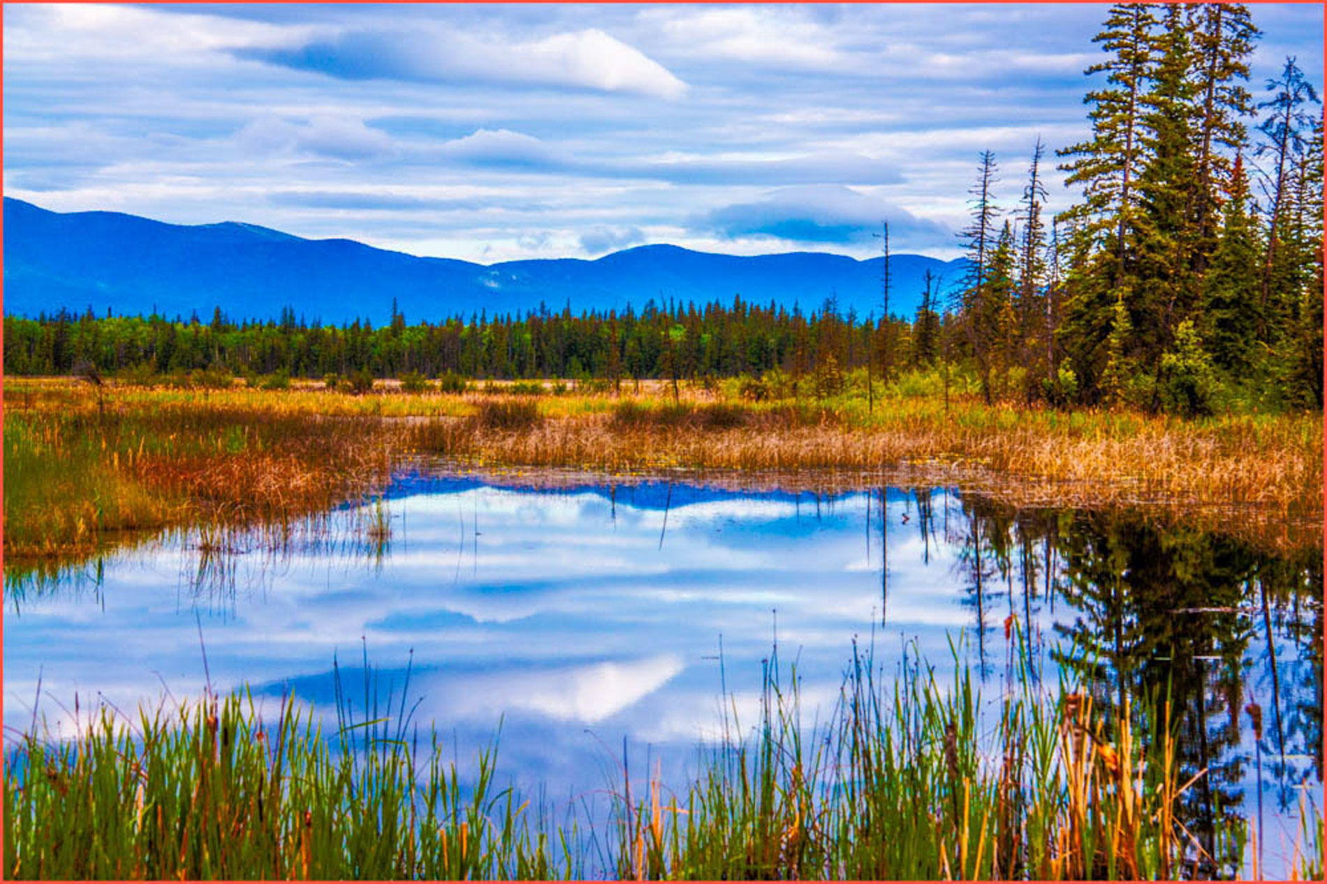 Meadow Lake - AnnMarie Brown