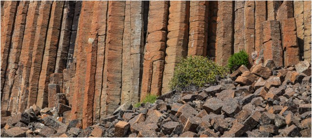 Basalt Columns-Cardiff Mountain - © Sharon Jensen