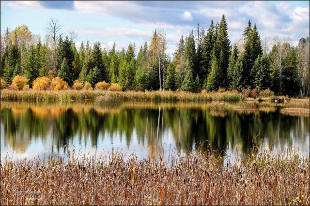Autumn Reflection- Gary Hardaker