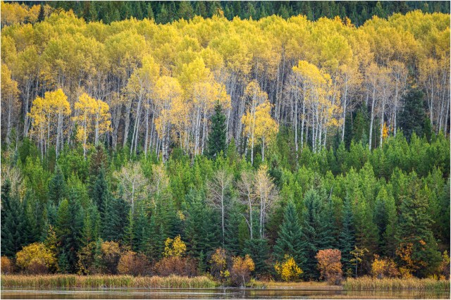 Autumn-Wolf Valley - © Sharon Jensen