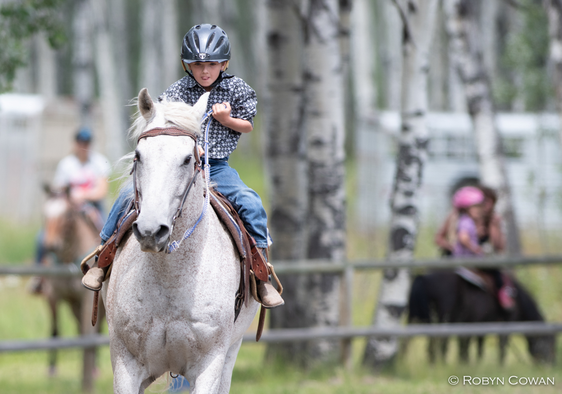 Concentration, Watch Lake Gymkana - Robyn Cowan