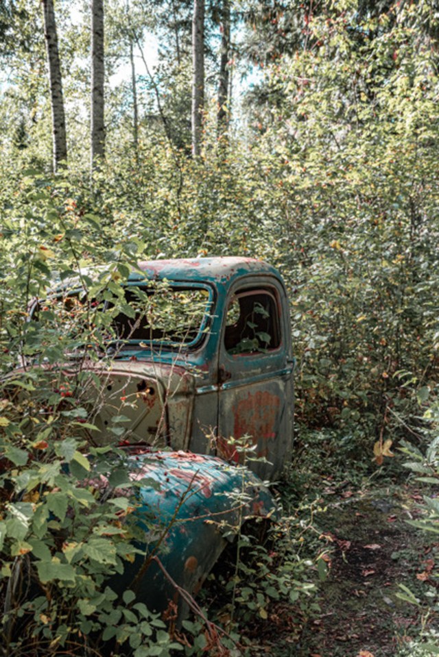 Old Truck at Quesnel Forks-0414-2-Pamela Faiers