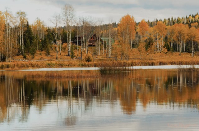 Wolf Valley Ranch - Kevin Haggkvist