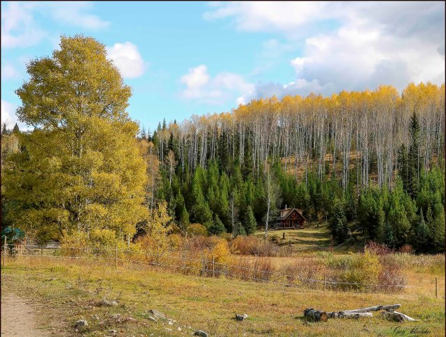Cabin at Wolf Valley Ranch- Gary Hardaker