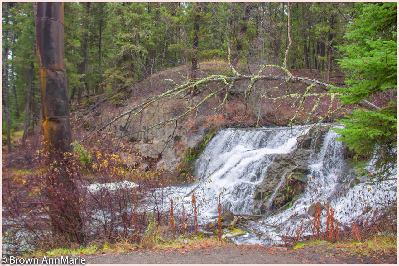 Falls - AnnMarie Brown