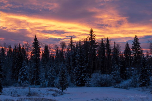 20 Winter Sunrise - Gloria Melnychuk_GMP9552-002