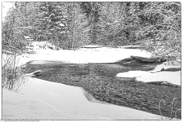 #21 winter reflections