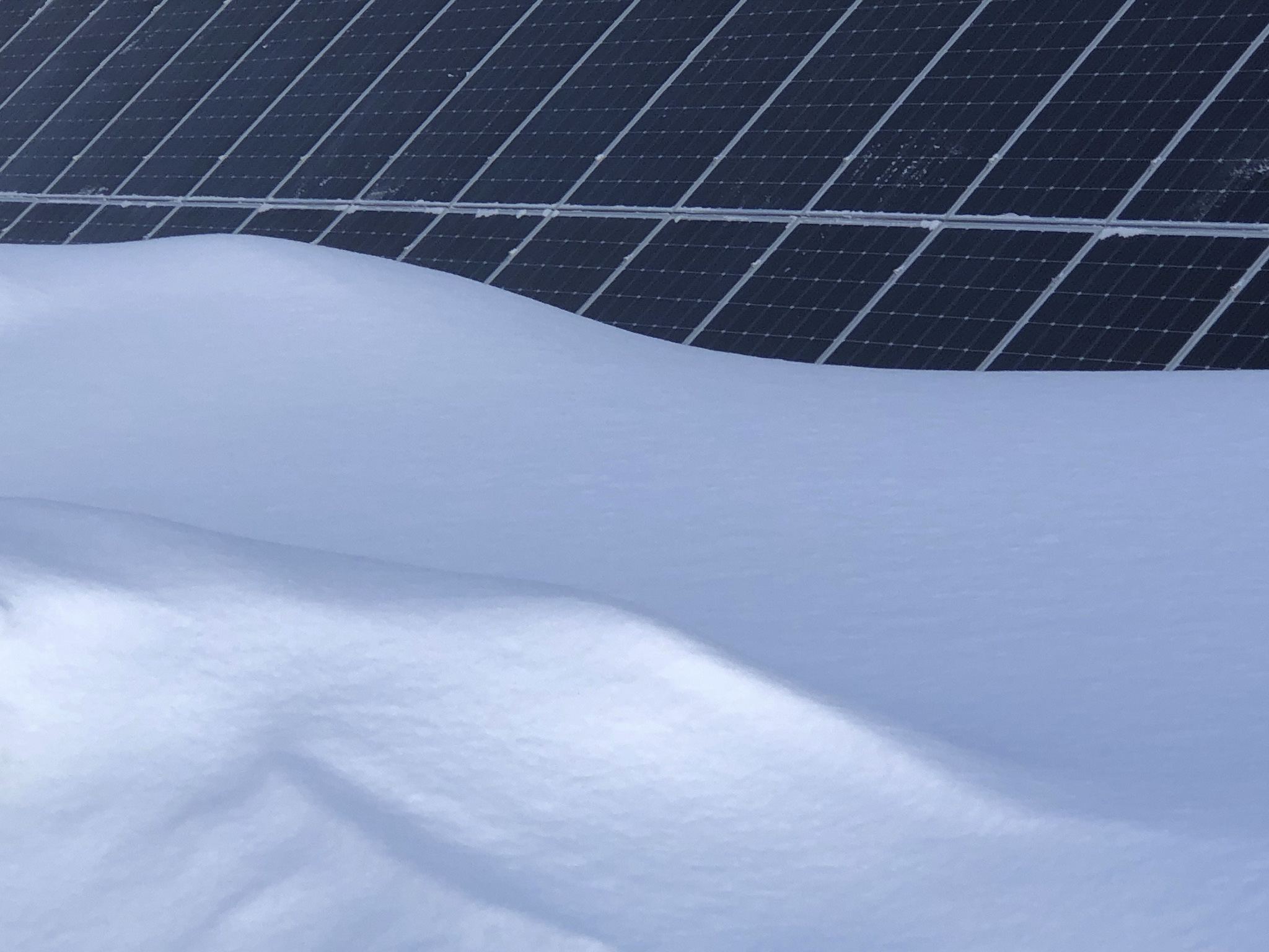 IMG_3311 - Derek Chambers