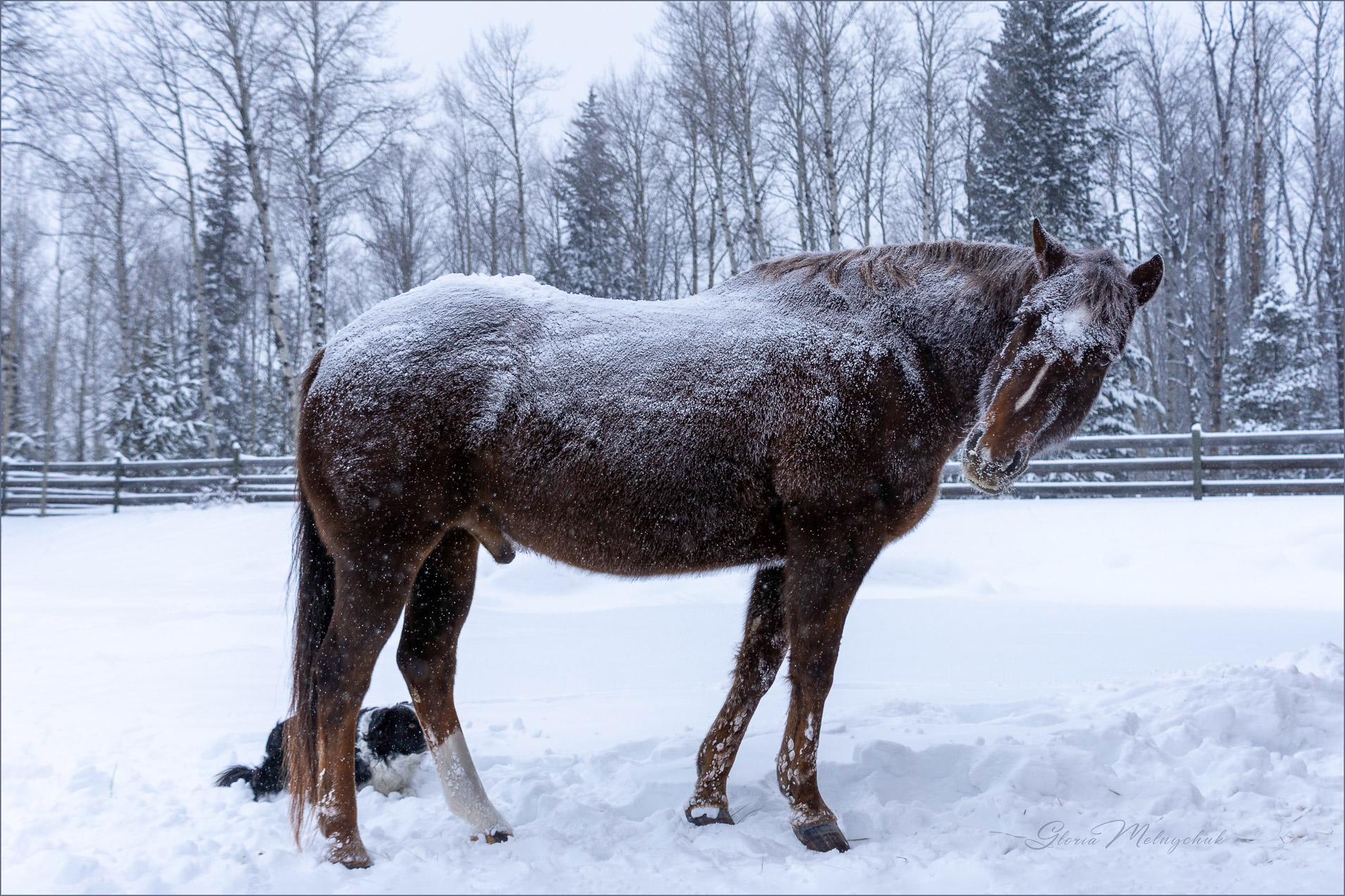 Minus 38 - Gloria Melnychuk _WGP2775-006