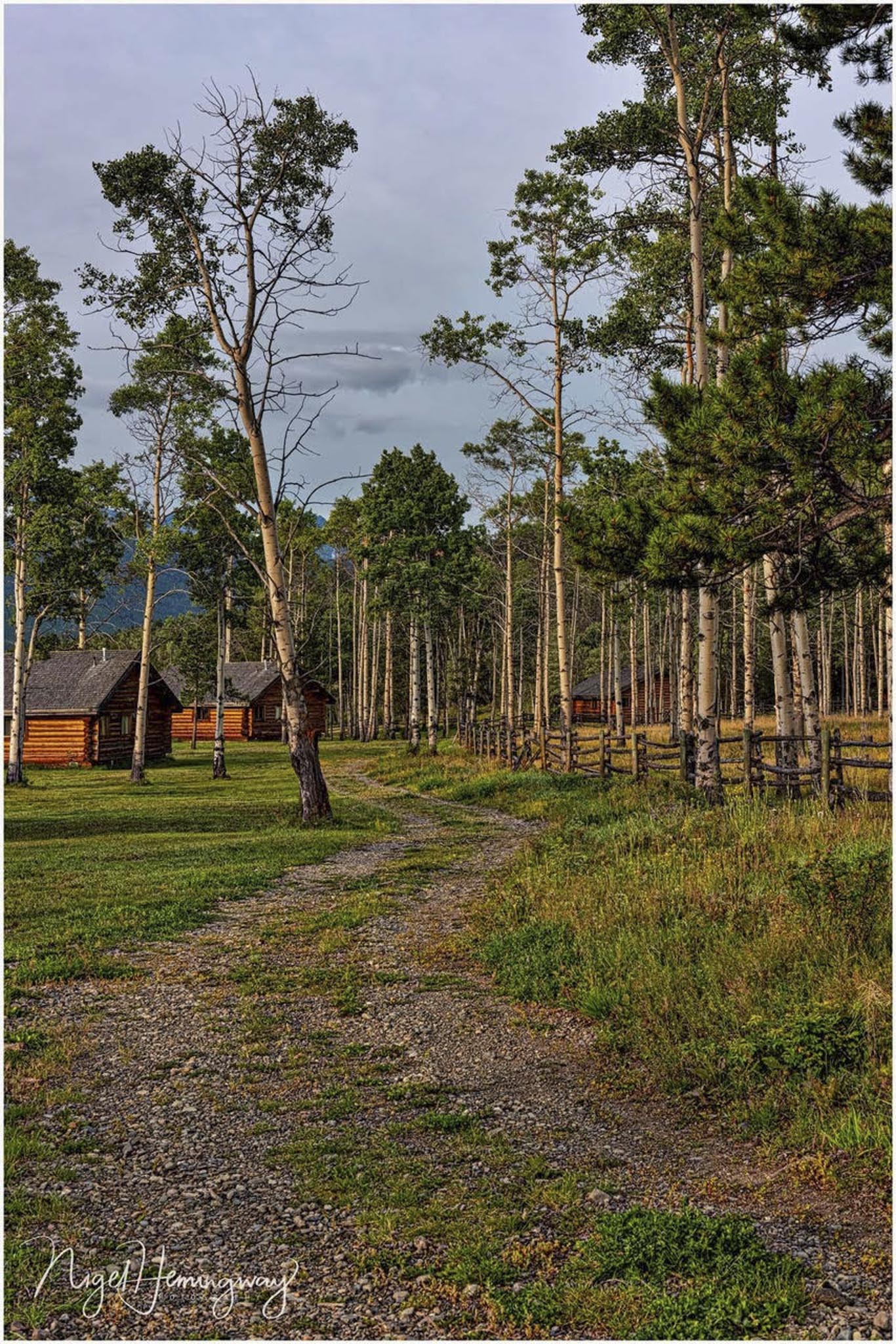 Morning Glow - Nigel Hemingway