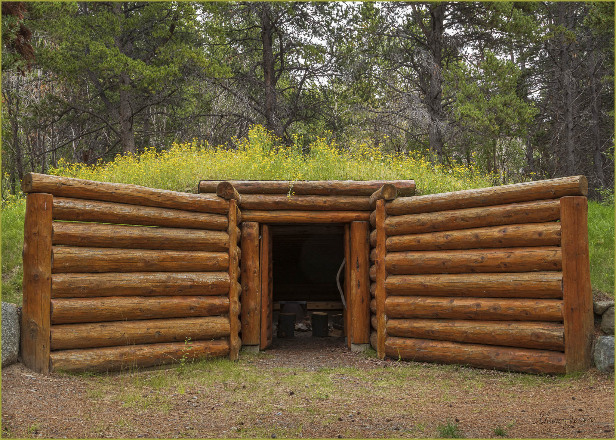 Kekuli- © Sharon Jensen