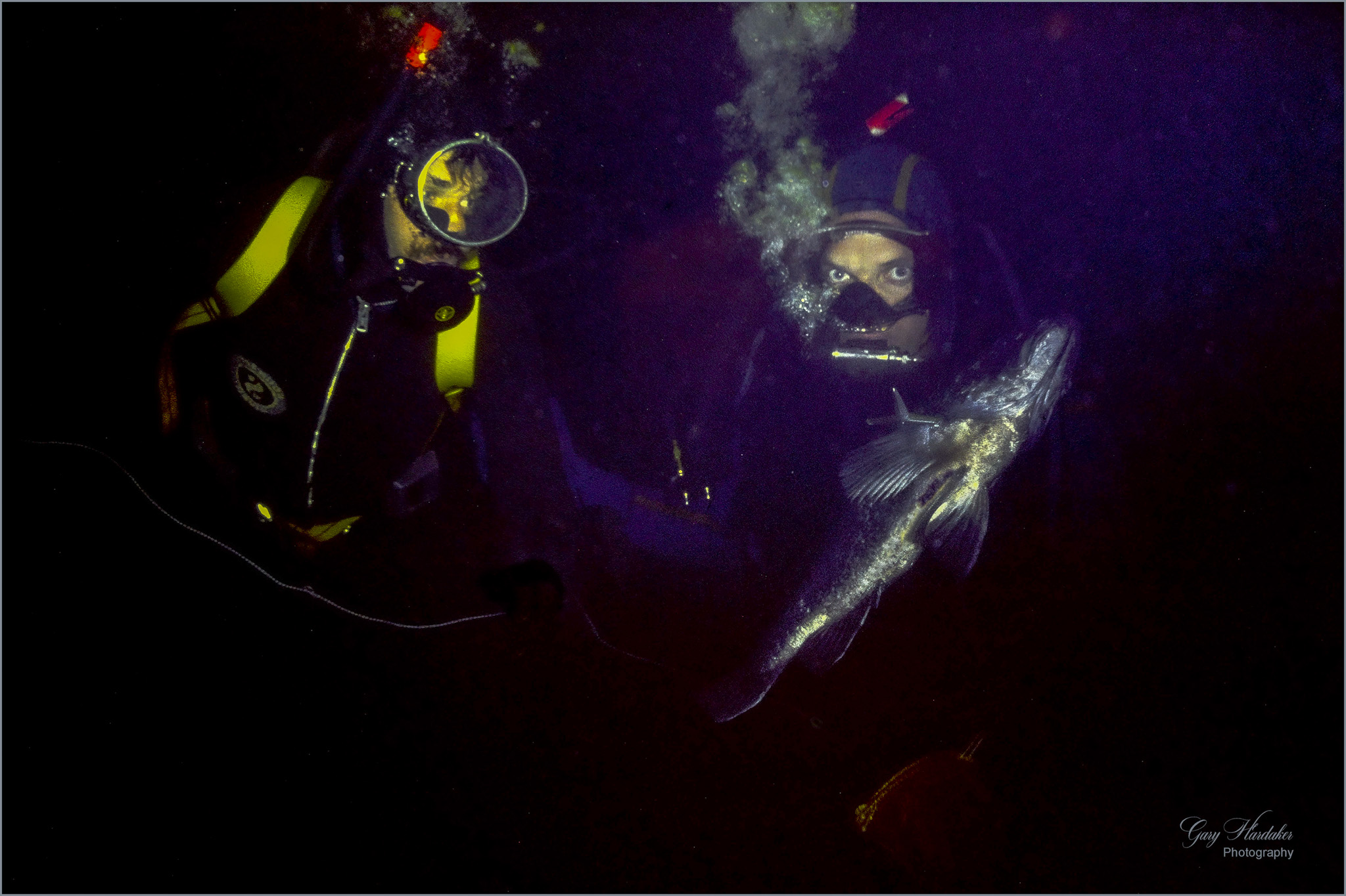 Spearfishing catch of the day- Gary Hardaker