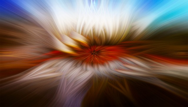 Canim Twirl - Daryl Bell