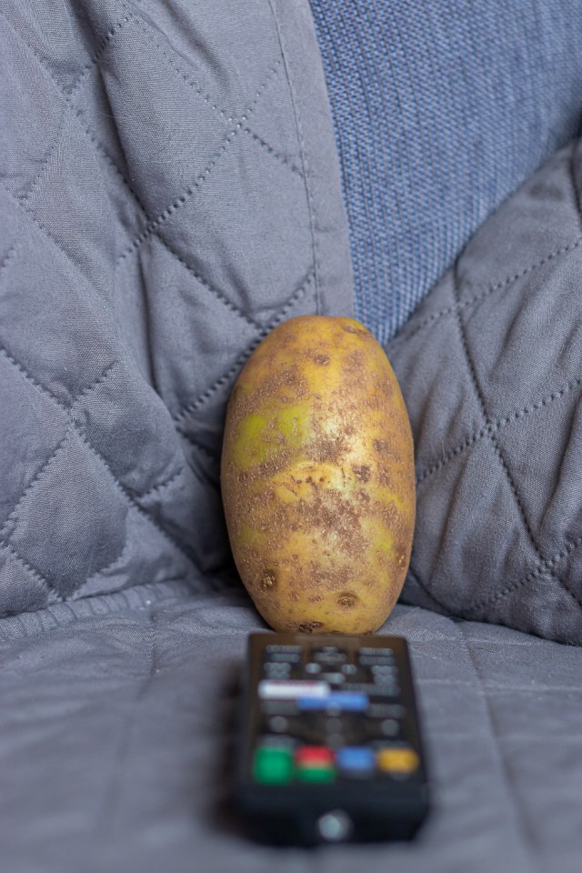 Couch potato ©Tamara Isaac