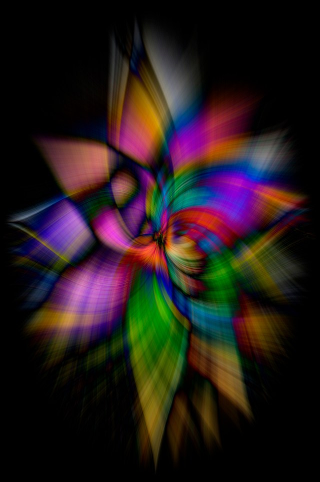 _MHP0872 mary w umbrella gfest- Small