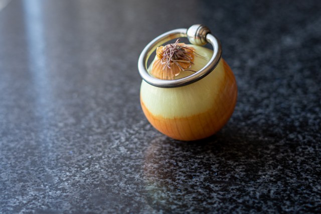 Onion Ring - Daryl Bell