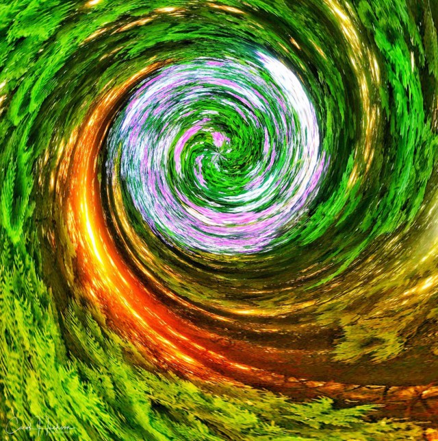 Swirl of Fire - Carol Jackson