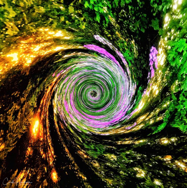 Swirling Vortex - Carol Jackson