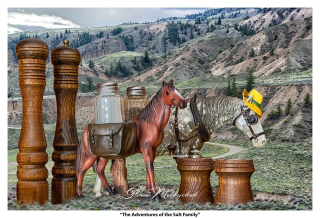 The Adventures of the Salt Family - Gloria Melnychuk