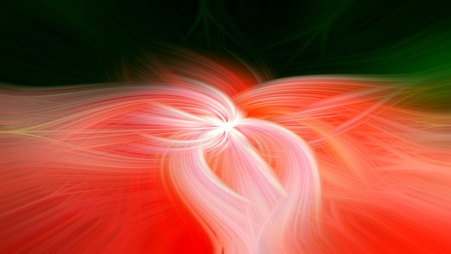 Tulip Twirl - Daryl Bell- Small