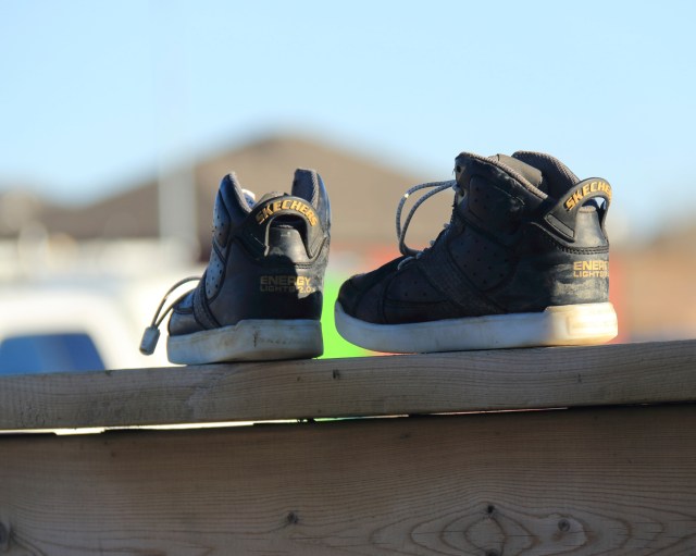 Walkin the Fence- Small