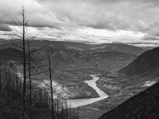 Cougar point - Daryl Bell