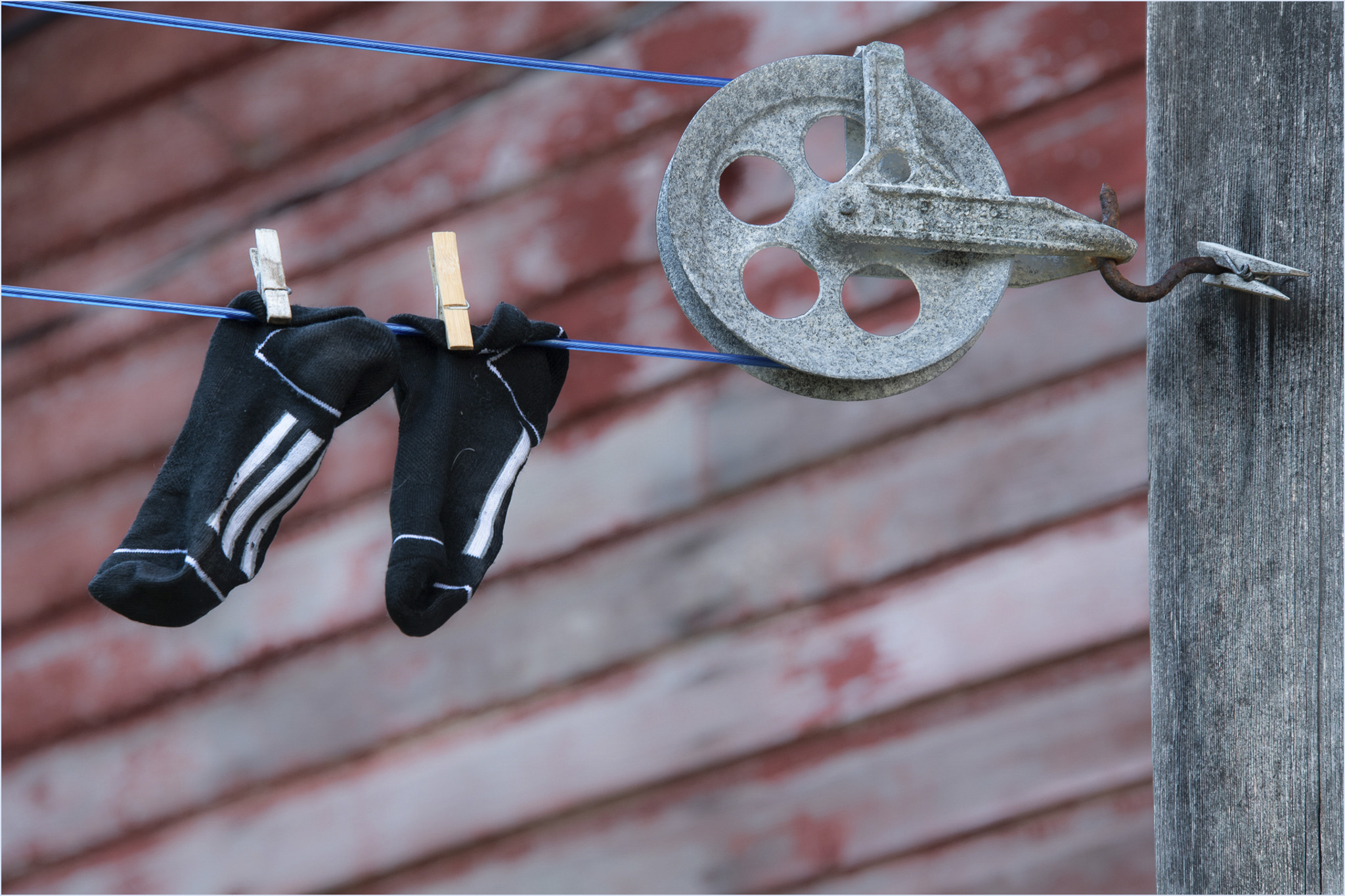 On Line - Larry Citra