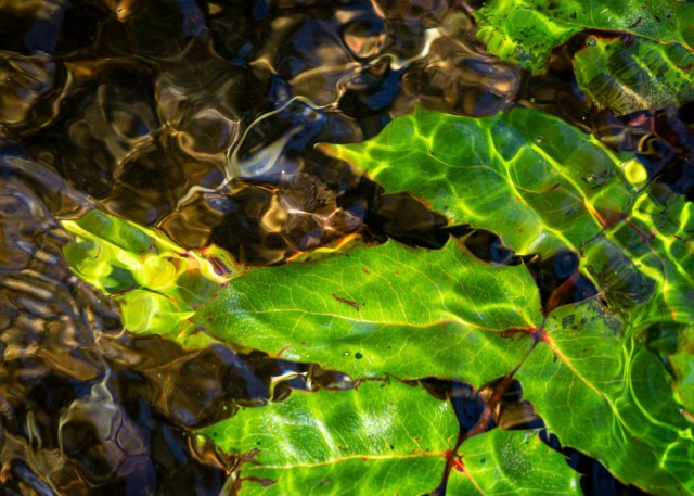 Underwater - Daryl Bell