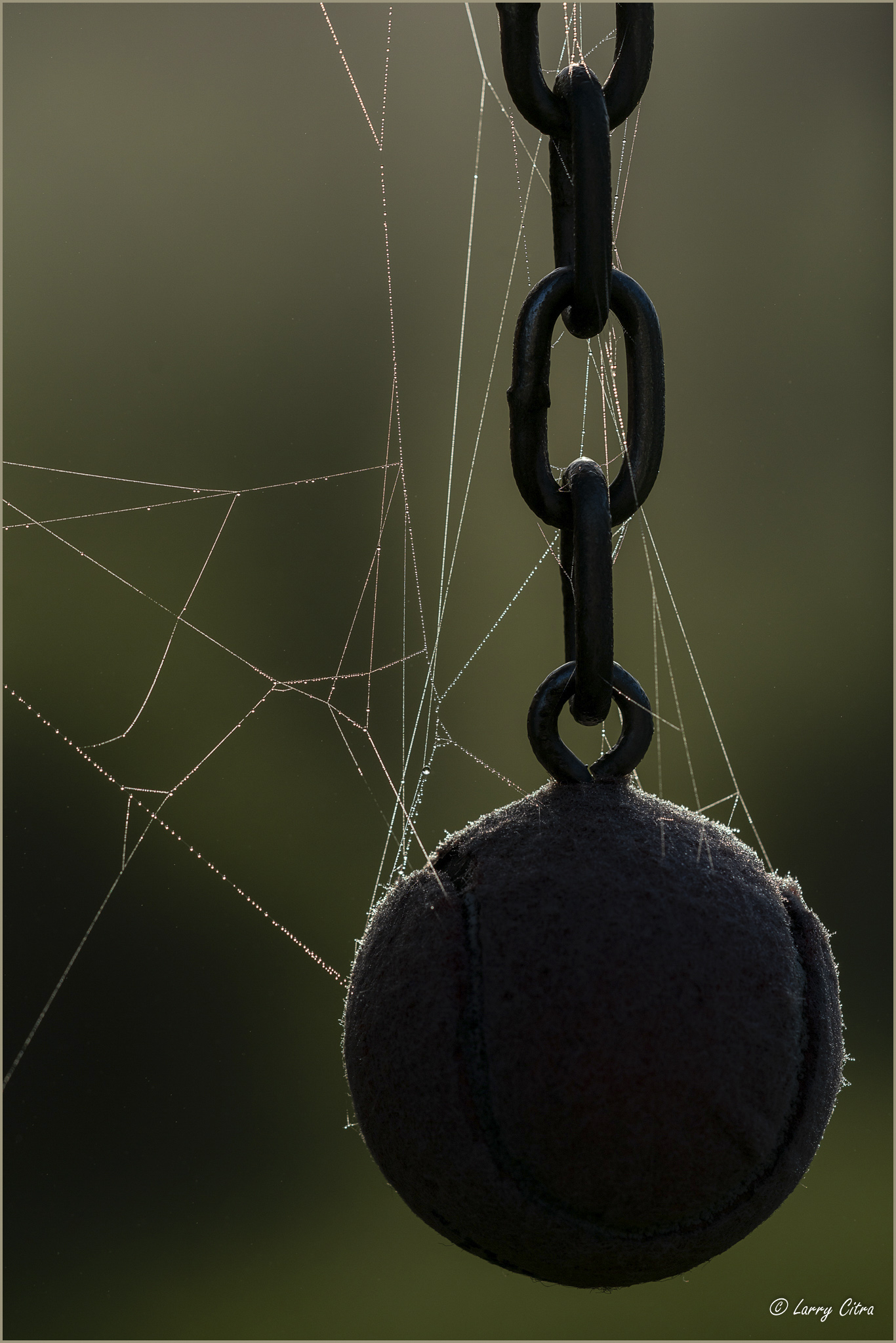 Ball and Chain © Larry Citra