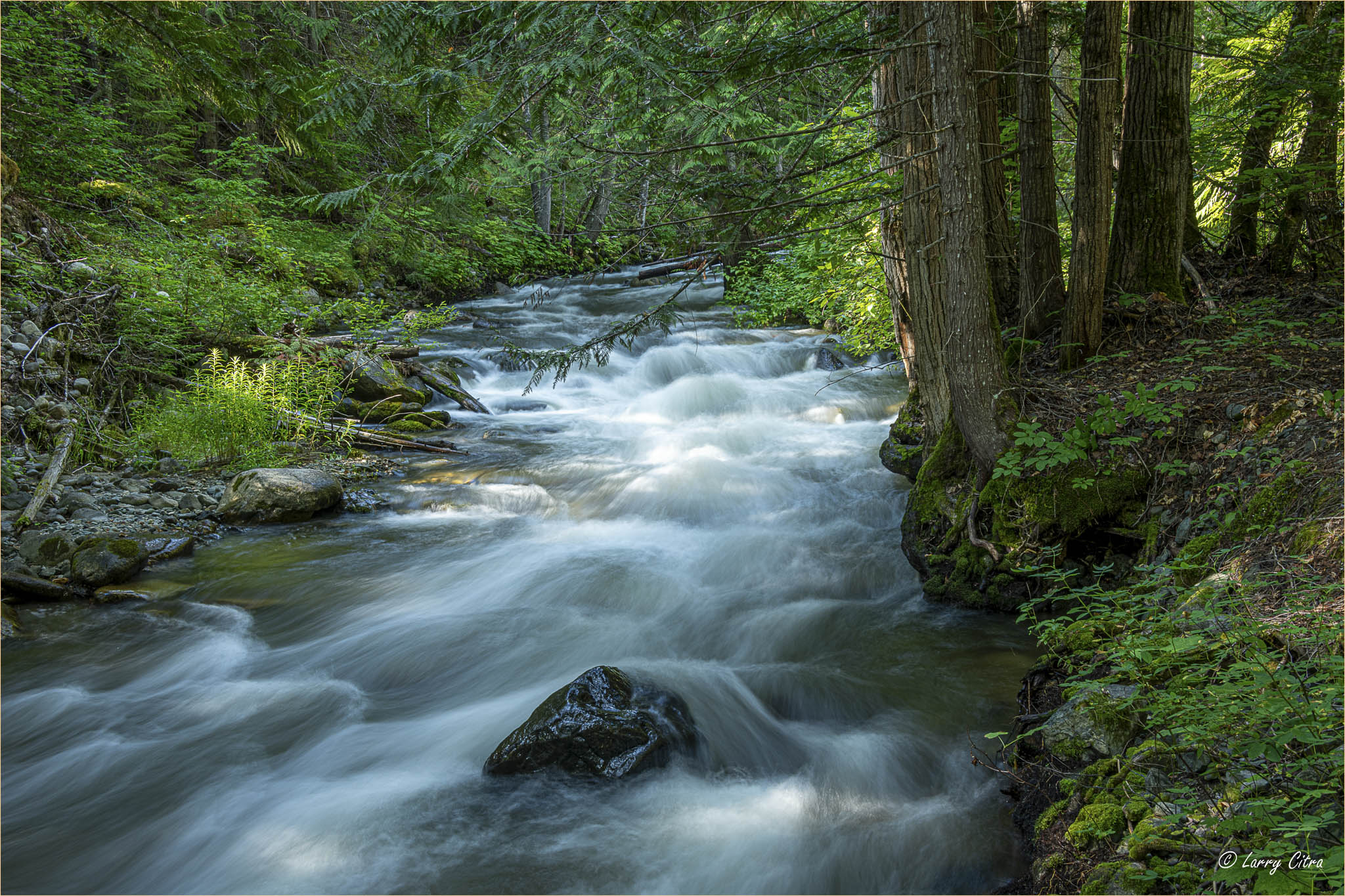Eakin Creek © Larry Citra